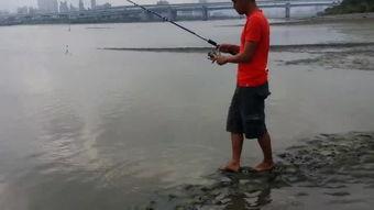 滑杆钓鱼视频教程,轻松掌握高效钓鱼技巧