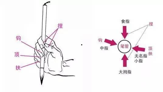 三指执笔法视频,高效书写技巧揭秘