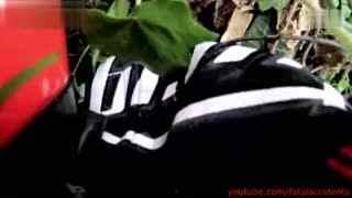 性趣事视频,揭秘性趣事视频背后的欢乐瞬间