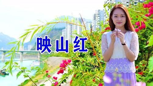 黄英映山红现场视频,歌声传颂红色记忆