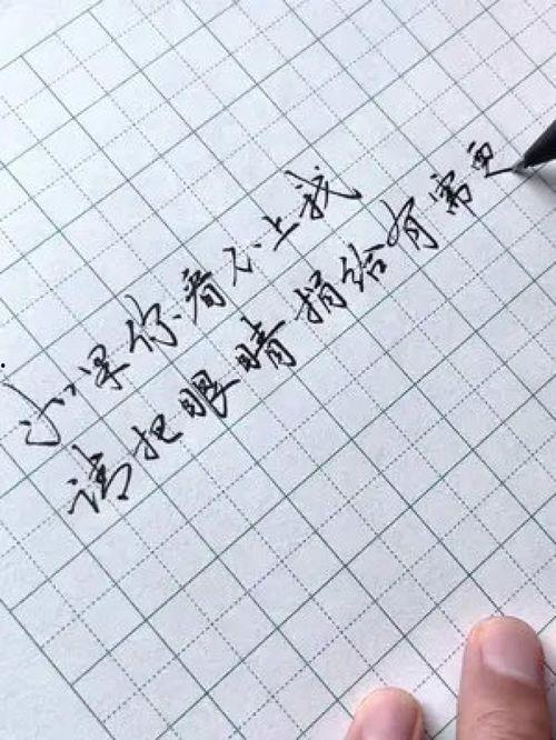 行楷练字视频,跟随视频教程，轻松掌握行楷书写技巧