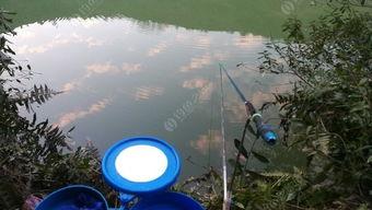 钓船丁鱼视频,揭秘海洋捕捞的精彩瞬间