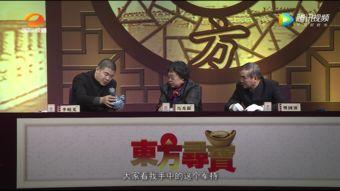 寻宝视频2015年全集,探秘宝藏之旅全程回顾