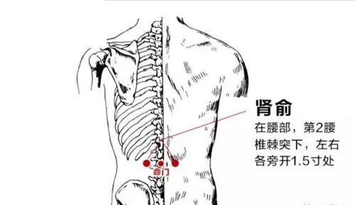 艾灸的正确方法视频教程,从入门到精通的实用指南