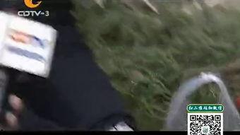 食不可挡视频,一场味蕾盛宴的视觉之旅