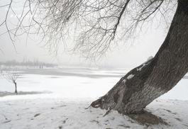 水墨雪原唱视频,水墨画卷中的冰雪佳人