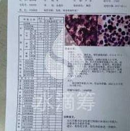 交城小视频,捕捉生活瞬间，展现城市魅力