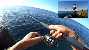 路亚铁板教学视频,掌握技巧，畅游钓鱼新境界