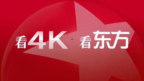 东方视频网,聚焦东方魅力，畅享视听盛宴