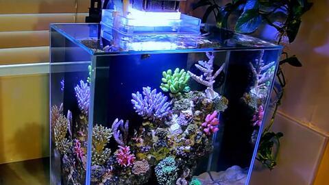 鱼缸换水视频教程,轻松掌握水质管理技巧