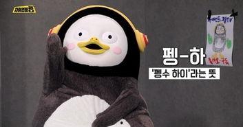 超peng视频,热门短视频平台的魅力与挑战