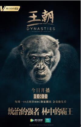 朝代更替视频,中华五千年历史脉络