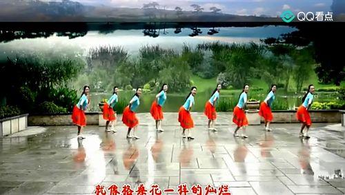 蝴蝶舞蹈视频播放,跟随蝴蝶舞蹈视频领略自然之美