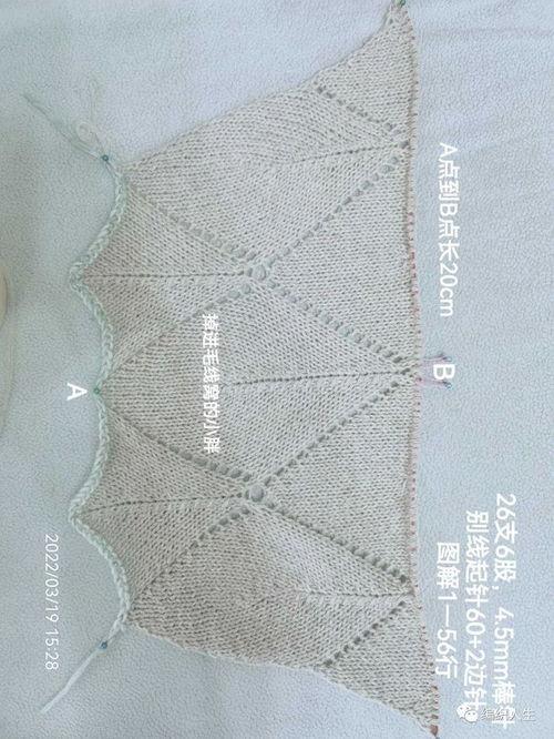 蝙蝠衫编织视频,轻松学会编织时尚蝙蝠衫